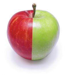 Integrative Medicines